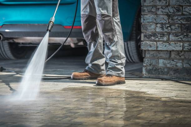 Best Fleet Vehicle Washing  in Springfield, KY